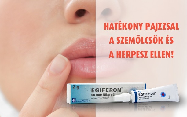 EGIFERON fejléc kép